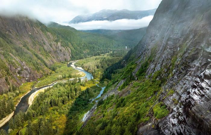 هذه ليست دببة قطبية.. مصور يرصد العالم الخفي لـ"دببة الروح" البيضاء