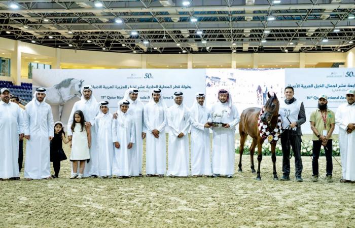 ختام مميز لبطولة قطر المحلية لجمال الخيل
