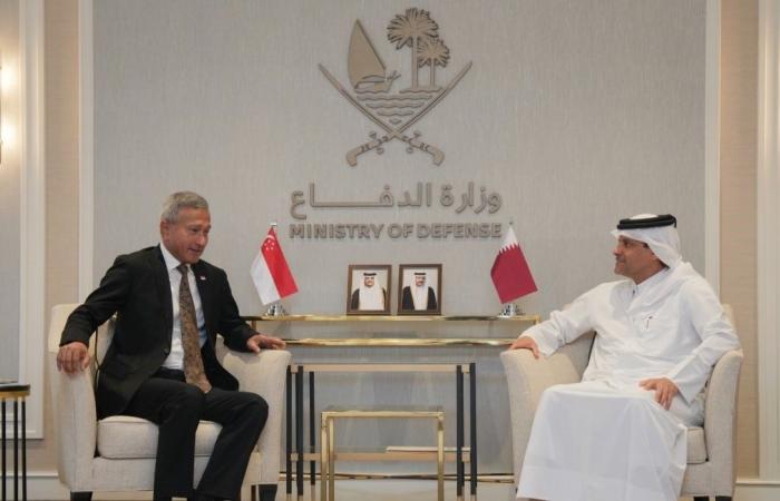 نائب رئيس مجلس الوزراء ووزير الدولة لشؤون الدفاع يلتقي وزير الخارجية السنغافوري
