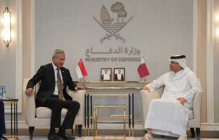 نائب رئيس مجلس الوزراء ووزير الدولة لشؤون الدفاع يلتقي وزير الخارجية السنغافوري