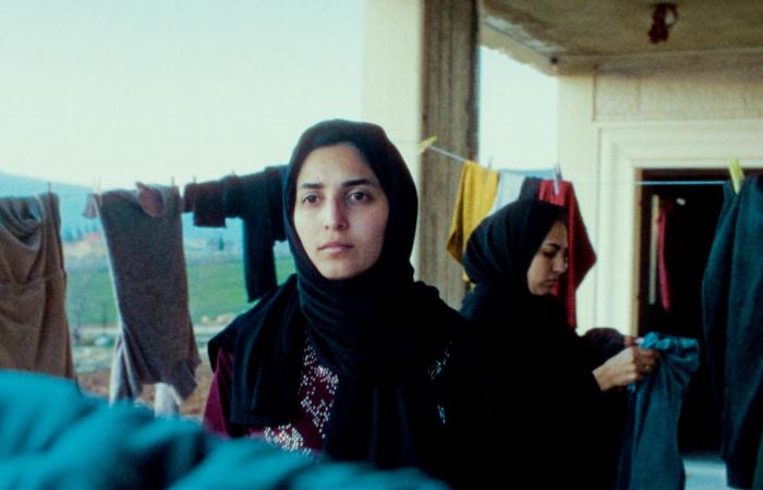 مشاركة 7 أفلام دعمتها «الدوحة للأفلام» في مهرجان «كان»