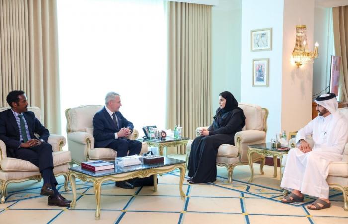 وزير الدولة للتعاون الدولي تجتمع مع المبعوث الشخصي للأمين العام للأمم المتحدة إلى السودان