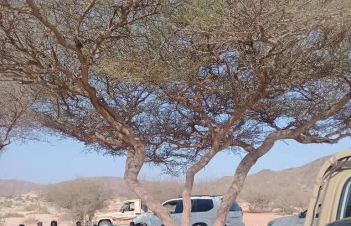 تقرير
      دولي
      يرصد
      تنامي
      الصراع
      بين
      الحوثيين
      والقبائل