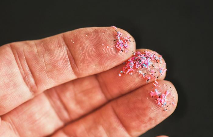 بقعة القمامة الكبرى في المحيط الهادئ.. مصدر خفي لكارثة عالمية
