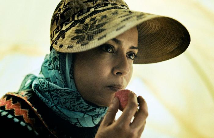 مشاركة 7 أفلام دعمتها «الدوحة للأفلام» في مهرجان «كان»
