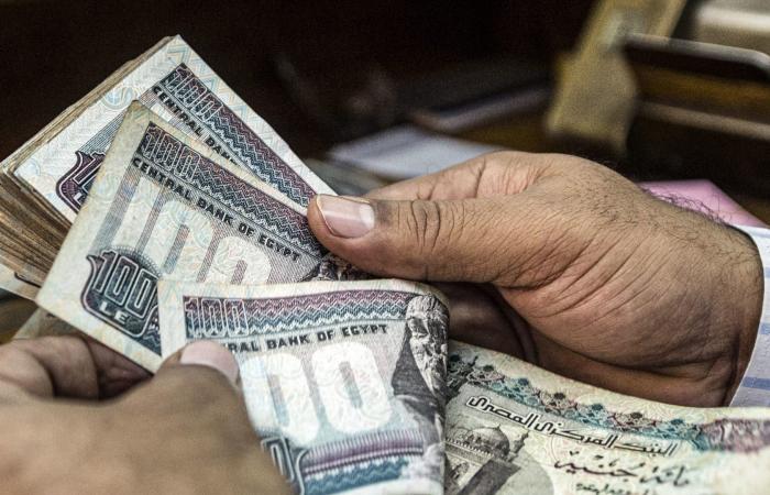 مصر تدرس البدء في تطبيق الدعم النقدي بدلاً من العيني.. ما تعليق الخبراء؟
