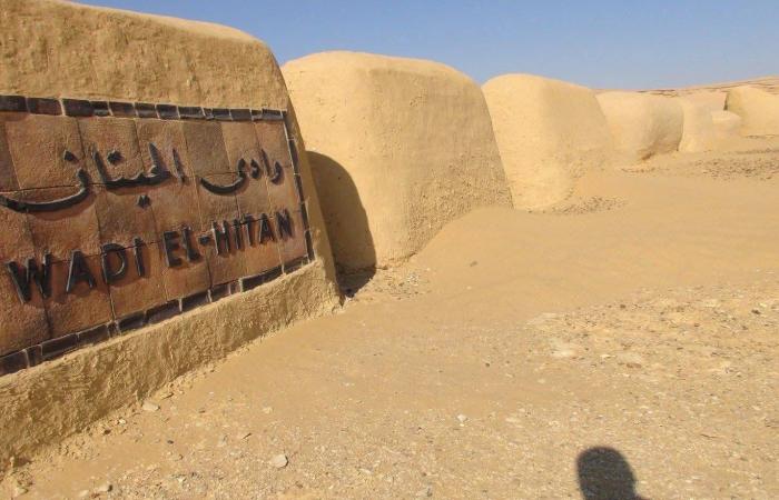 «مانجا
      العربية»
      تواصل
      توسعها
      الدولي
      وتطلق
      مبيعاتها
      في
      شمال
      أفريقيا