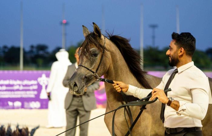 «مروى
      العون»
      و«ملهمة
      النو»
      تتصدران
      افتتاح
      بطولة
      العالم
      لخيل
      الجزيرة