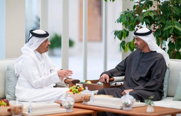 رئيس الإمارات يستقبل رئيس مجلس الوزراء وزير الخارجية