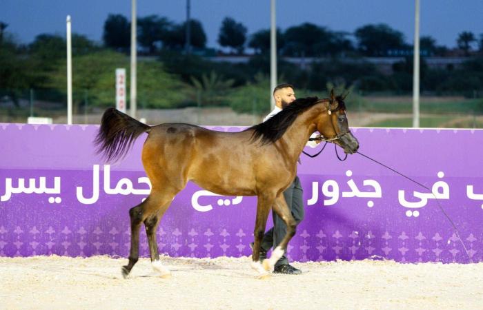 «مروى
      العون»
      و«ملهمة
      النو»
      تتصدران
      افتتاح
      بطولة
      العالم
      لخيل
      الجزيرة