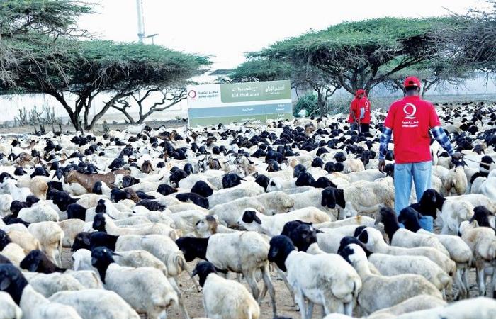 قطر الخيرية تطلق حملة ذي الحجة 1447هــ 2026
