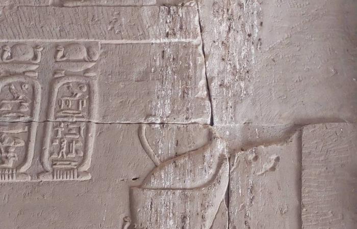 آثاريون
      مصريون
      ينتفضون
      ضد
      «تشويه»
      بانوراما
      معبد
      كلابشة
      بأسوان