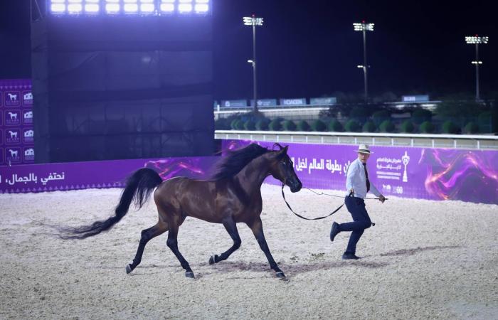 «عذبة»
      تحصد
      الذهب
      في
      «مهرجان
      بطولة
      العالم
      لخيل
      الجزيرة»