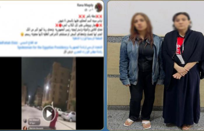 جدل
      القضاء
      على
      الكلاب
      الشاردة
      يصل
      إلى
      أحياء
      «راقية»
      بمصر