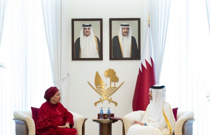 رئيس مجلس الوزراء وزير الخارجية يستقبل نائبة الأمين العام للأمم المتحدة