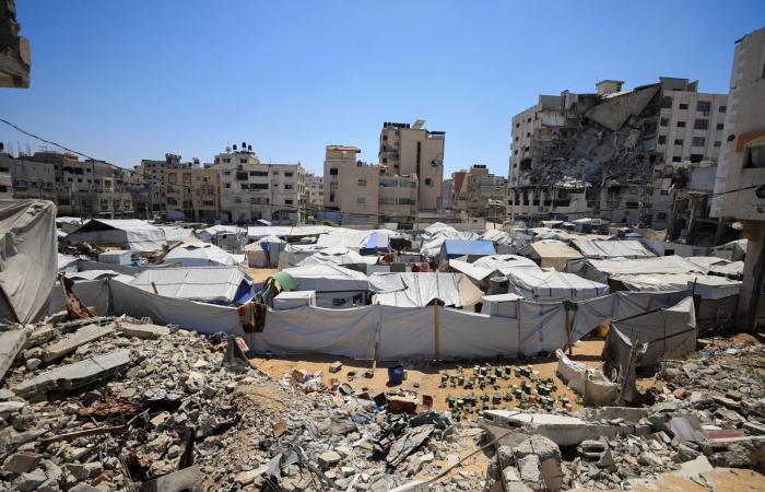 العصابات
      المسلحة
      تشرد
      10
      آلاف
      فلسطيني
      في
      غزة