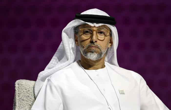 "لا يستند لأي اعتبارات سياسية": وزير إماراتي يعلق على قرار انسحاب الإمارات من "أوبك وأوبك بلس"