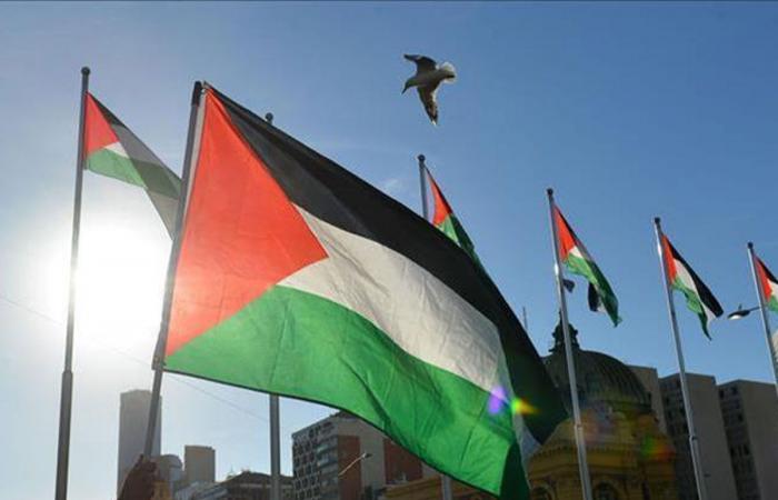 350 ناشطا من 30 دولة.. قافلة الصمود تستأنف طريقها نحو غزة برا
