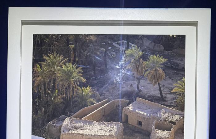 «بومبي
      ثانية»
      في
      صقلية
      تغطيها
      الخرسانة