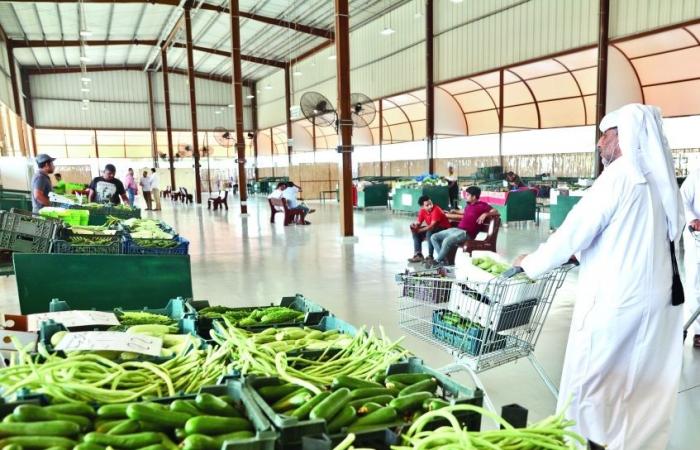 البلدية تعلن انتهاء الموسم الزراعي السبت المقبل