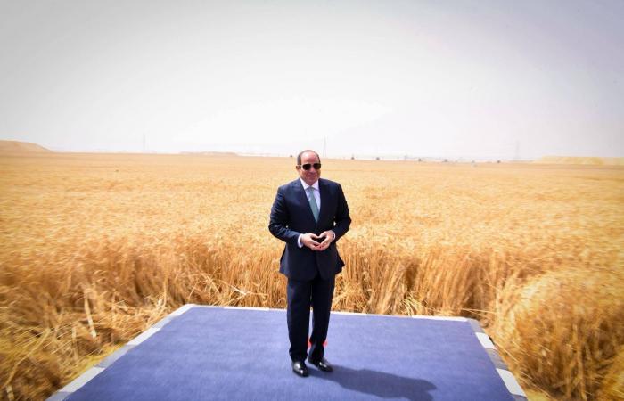 «الدلتا
      الجديدة»...
      مصر
      تعزز
      أمنها
      الغذائي
      وسط
      اضطرابات
      المنطقة