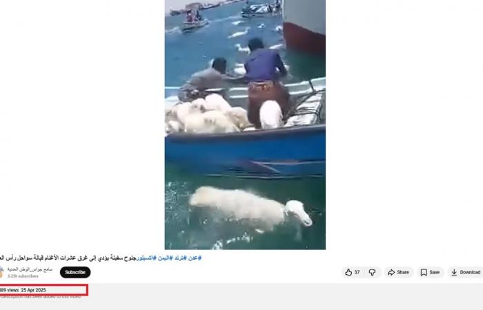 "جنوح سفينة تحمل أغنامًا قبالة سلطنة عُمان بعد هجوم بمُسيرات".. ما حقيقة الفيديو؟