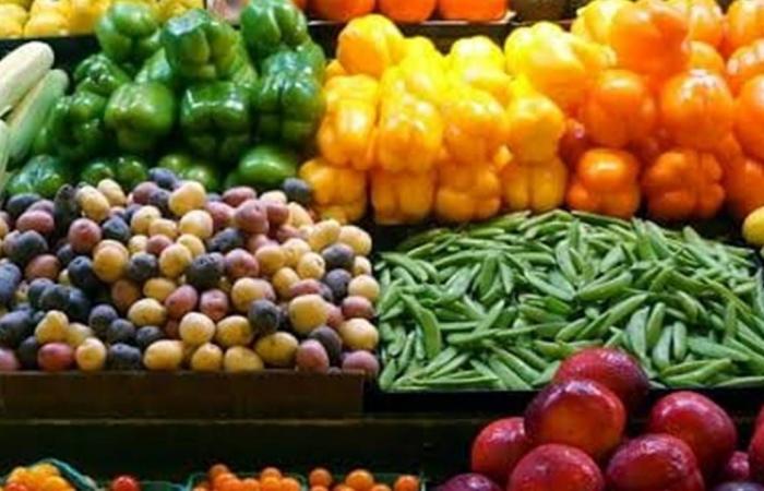 تصدير
      الغذاء
      في
      مصر...
      خلاف
      مستمر
      بين
      توفير
      الدولار
      وكبح
      الغلاء