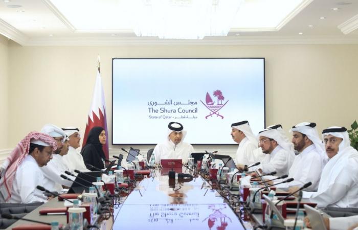 لجنة شؤون الصحة والخدمات العامة والبيئة بمجلس الشورى تناقش مقترح قانون للحماية الرقمية للطفل