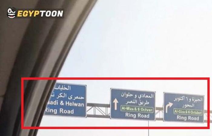 زحام مروري بسبب "فيل صلاح سالم" في مصر.. ما حقيقة فيديو الرائج؟