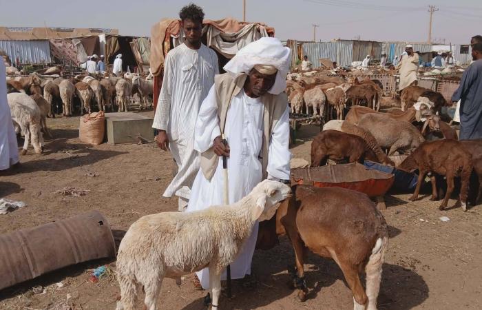العيد
      في
      السودان..
      الأضحية
      ترف
      في
      زمن
      الحرب