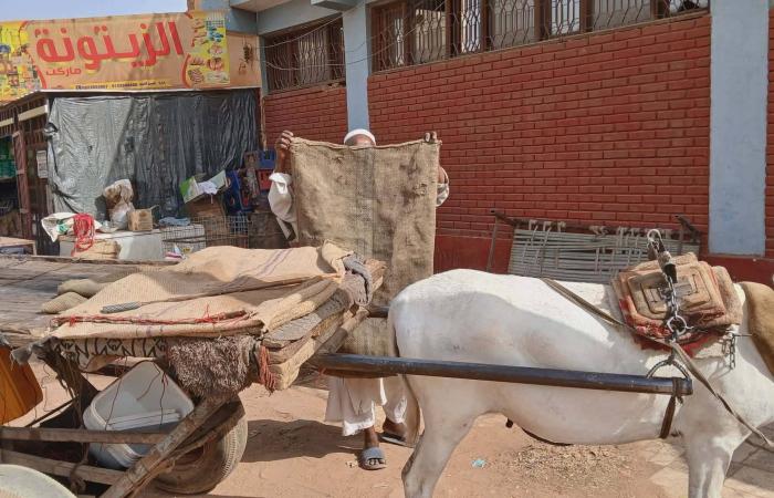 الجيش
      الجزائري
      ينفّذ
      تمريناً
      بالذخيرة
      الحية
      يحاكي
      الواقع