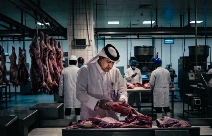 البلدية تنفذ 8 إجراءات لاستقبال عيد الأضحى