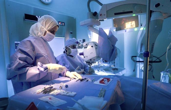 من
      الأرض
      إلى
      السماء...
      ملحمة
      إنسانية
      سعودية
      لرعاية
      صحة
      الحجيج