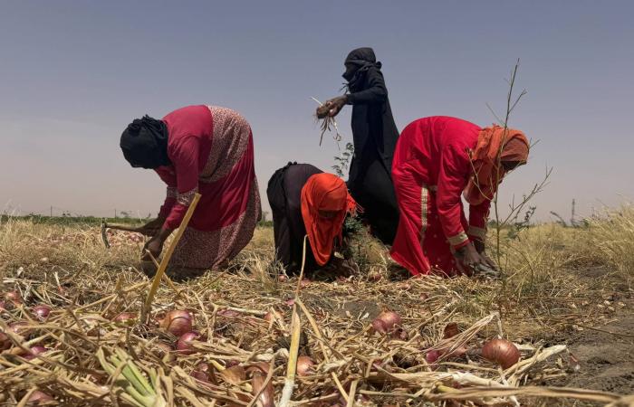ملايين
      السودانيين
      يستقبلون
      العيد
      بين
      النزوح
      والفقر
      والجوع
      والخوف