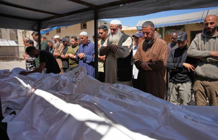 يوم
      دامٍ
      بغزة...
      مقتل
      9
      فلسطينيين
      والعصابات
      تهاجم
      وسط
      القطاع