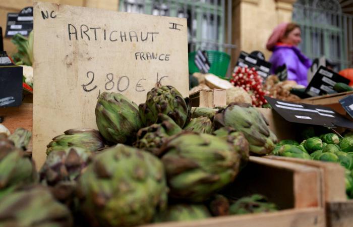 الاضطرابات
      العالمية
      قد
      تنعش
      السياحة
      الداخلية
      في
      ألمانيا