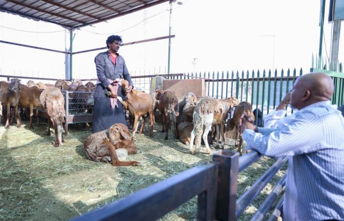 عيد
      الأضحى
      في
      السعودية...
      طقوس
      متوارثة
      وفرح
      متجدد