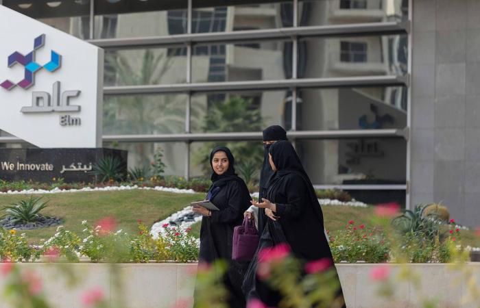 «الفينتك»
      والخدمات
      السحابية
      تقودان
      طفرة
      أرباح
      قطاع
      التقنية
      السعودي