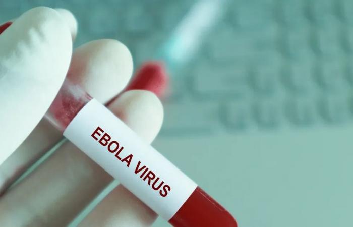 مدير منظمة الصحة العالمية يصل إلى بؤرة وباء إيبولا بالكونغو الديموقراطية