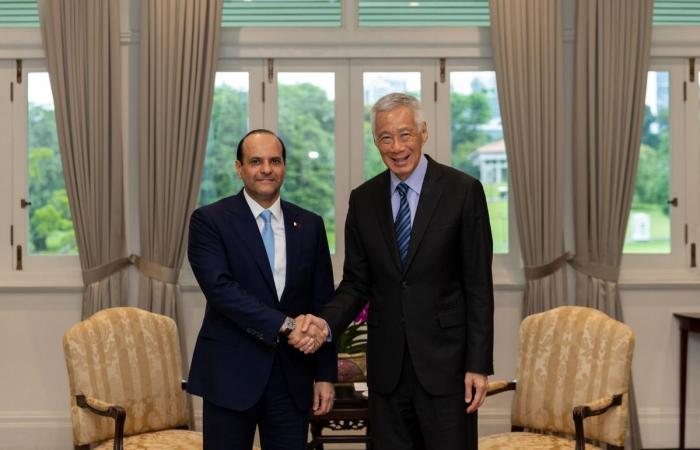نائب رئيس مجلس الوزراء ووزير الدولة لشؤون الدفاع يلتقي الوزير الأقدم في مكتب رئيس الوزراء السنغافوري رئيس الوزراء السابق