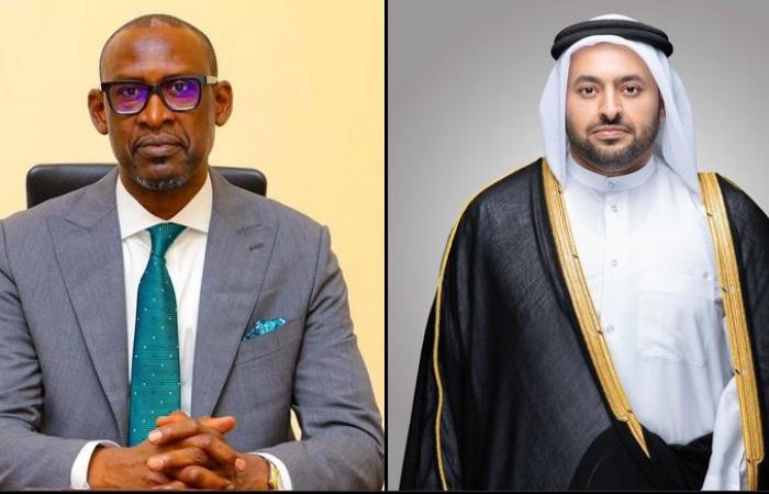 وزير الدولة بوزارة الخارجية يجري اتصالا هاتفيا مع وزير الشؤون الخارجية والتعاون الدولي في جمهورية مالي