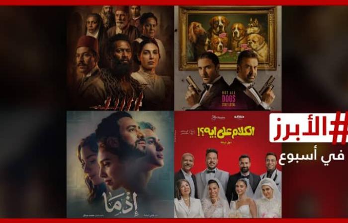 "شركاء".. تركي آل الشيخ يكشف عن حجم مشاركة صندوق الأفلام في فيلم "أسد"