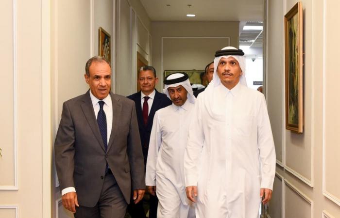 رئيس الوزراء يجتمع مع وزير خارجية مصر