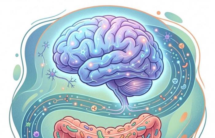 دراسة:
      صحة
      الأمعاء
      مفتاح
      حماية
      الدماغ
