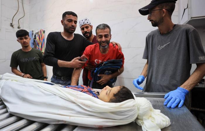 «توافق»
      بين
      فصائل
      غزة
      على
      مقترح
      الوسطاء
      لـ«حصر
      السلاح»