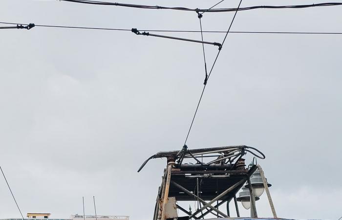 المحطة الأخيرة.. مصري يودع ترام الإسكندرية الشهير بصور مؤثرة