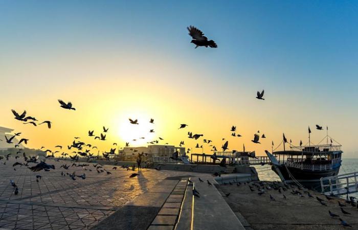  طقس حار نهارا.. تعرف على أعلى درجة حرارة اليوم