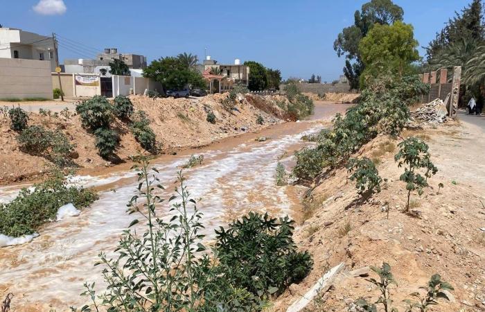 الجنوب
      الليبي
      للخروج
      من
      «العزلة
      السياسية»
      بتكتل
      «نخب
      فزان»