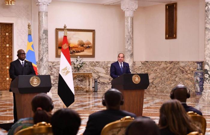 مصر
      تدعم
      وساطة
      الكونغو
      الديمقراطية
      وتراهن
      على
      تفاهمات
      بين
      دول
      حوض
      النيل