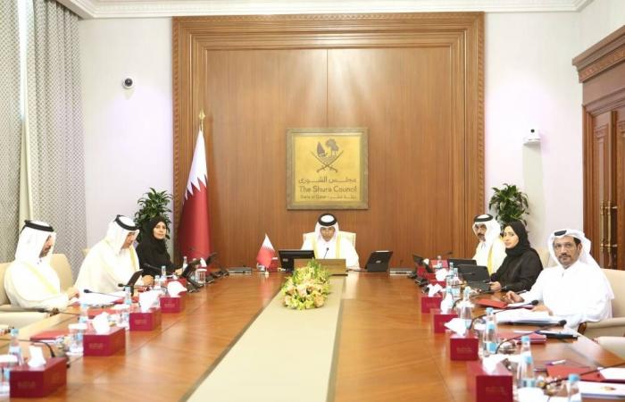 رئيس مجلس الشورى يؤكد أهمية تعزيز العمل العربي المشترك لمواجهة التحديات وترسيخ الأمن والاستقرار
